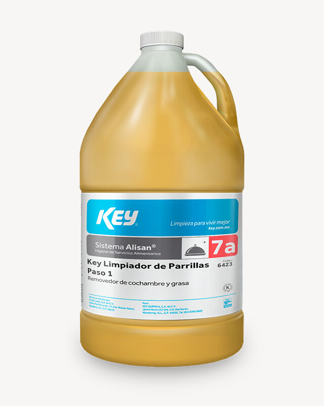 KEY LIMPIAPARRILAS PASO 1