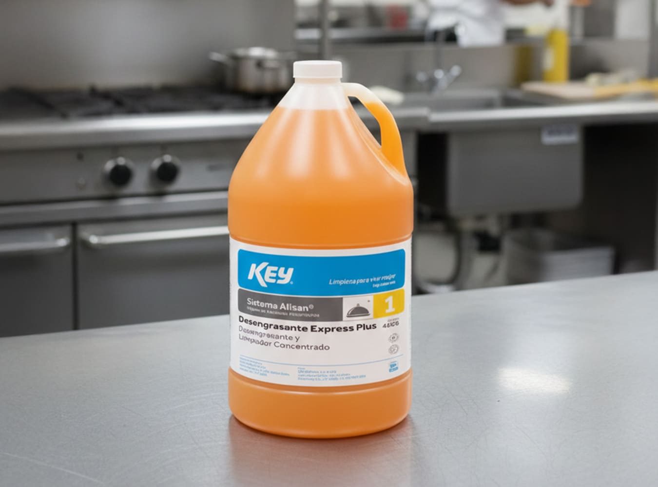 cat_Desengrasantes-y-Detergentes